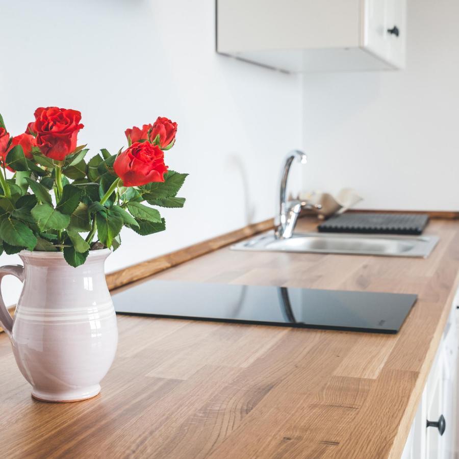 Apartmaji Aucin - Brda Kojsko Esterno foto