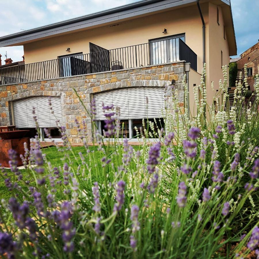 Apartmaji Aucin - Brda Kojsko Esterno foto